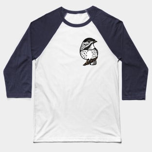 Blackpoll Warbler Graphic Baseball T-Shirt